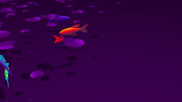 A group of colorful fish swim 3D 4K loop animation with copy space