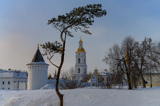 View of the Tobolsk Kremlin (Siberia, Russia) on a cold winter evening. Against the background of the pale blue sky, an old tall pine tree and golden domes of ancient churches look great.