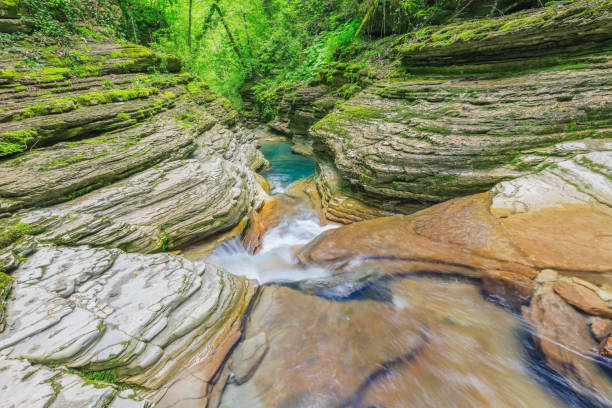 istock Creek with pure water in the deep canyon. 1421002125