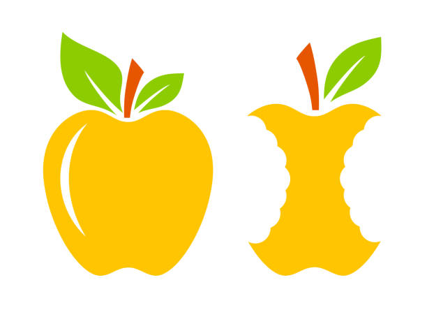 ilustrações, clipart, desenhos animados e ícones de núcleo da apple e desenho animado vetorial de maçã inteiro - rotting apple fruit missing bite