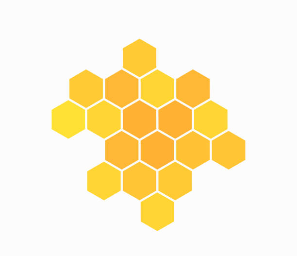 kuvapankkikuvitukset aiheesta hunajakennosymboli eristetty valkoiselle taustalle. - beeswax