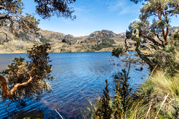 istock El Cajas National park, Toreadora lake. Ecuador 1421020553