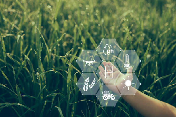 istock Boy's hand rests on a field with a farmer 1421021081