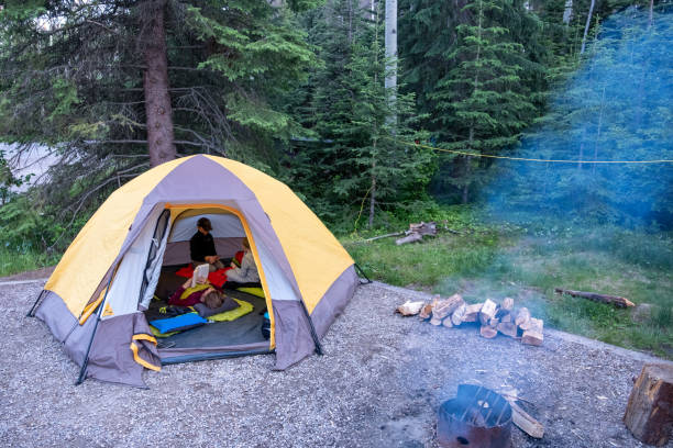 istock Family camping adventures 1421023134