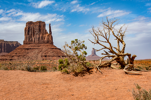 Unique rock formations of Monument Valley. The iconic buttes provide a classic wild west image.