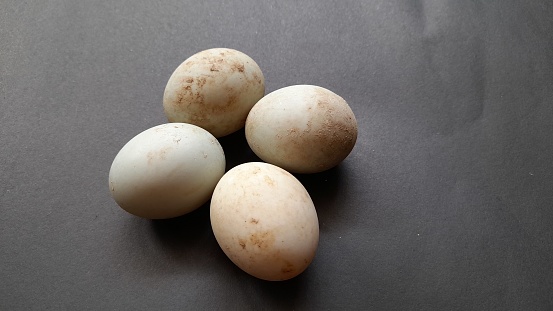 raw duck egg on black background. duck farming background concept, organic food, diet