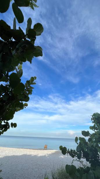 istock MORNING WALK ON THE BEACH 1421027458