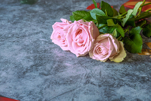 A bouquet of flowers on a dark background