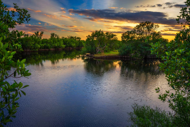 tramonto colorato su un lago nel parco nazionale delle everglades, florida - swamp moody sky marsh standing water foto e immagini stock