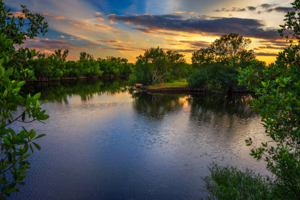 colorful sunset over a lake in everglades national park, florida - swamp moody sky marsh standing water imagens e fotografias de stock