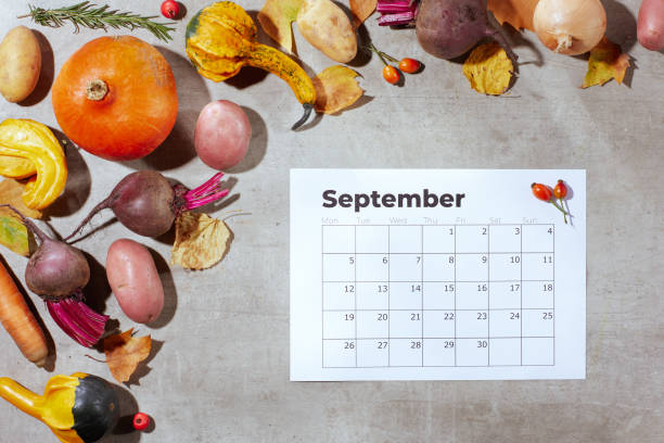 istock autumn flat lay on grey background with pumpkins 1421032663