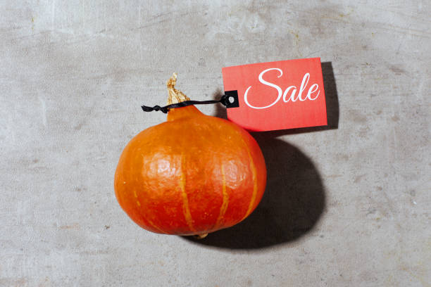 istock autumn flat lay on grey background with pumpkins 1421032665