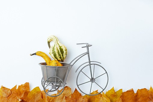 autumn flat lay on white background with autumn leaves, autumn leaf and toy bicycle.