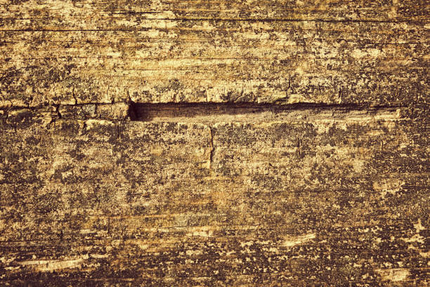 Wood texture background. Rough vintage wooden table, brown timber for backdrop, top view
