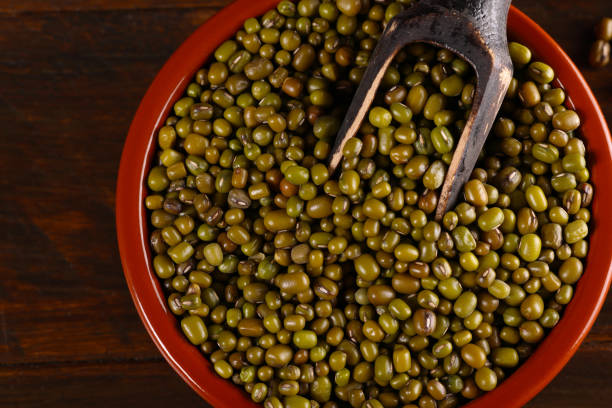 green lentils - green lentil imagens e fotografias de stock