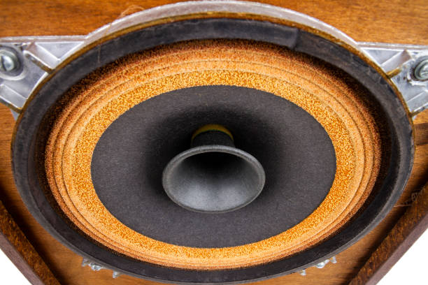 istock Close up of full range driver in vintage speaker 1421041694