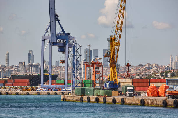 istock Cranes at comercial seaport. Bosphorus strait in Istanbul. Transportation Turkey 1421043907