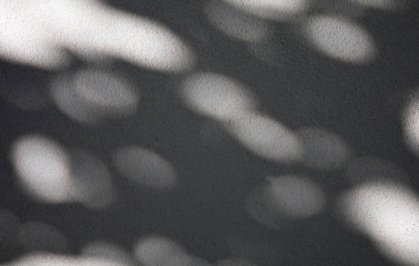 istock tree shadows on a white concrete wall of a house 1421043918