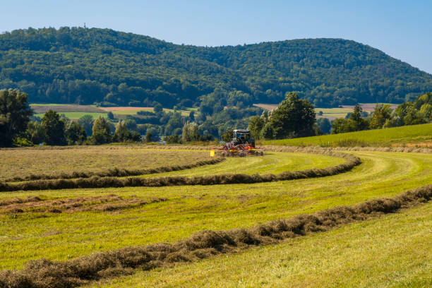 istock Farmer at the hay harvest 1421045925