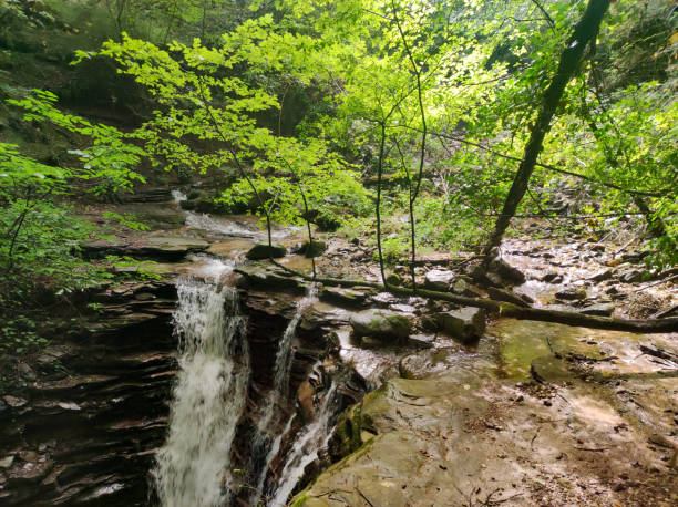 istock view of a small waterfall in the woods 1421047194