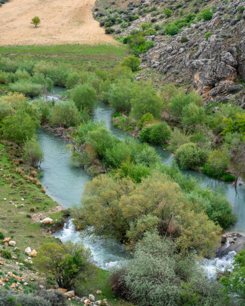 istock High angle photo of river streaming in green valley 1421049611