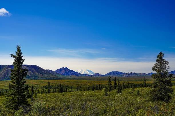 istock Snow-capped Denali in Mountain Range, Alaska, USA 1421050351