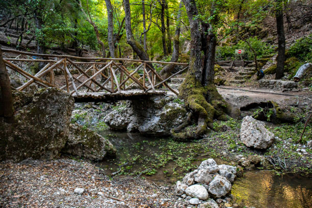 istock Butterfly valley on Rhodes island, Greece 1421057126