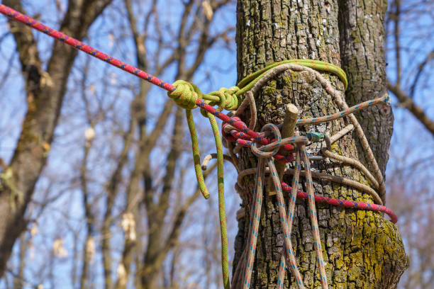 Tourist knot on a rope. Background with copy space for text