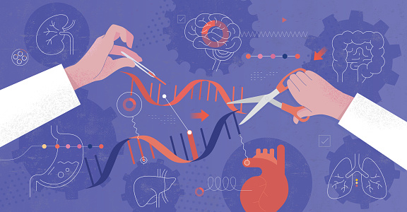 Abstract vector illustration depicting concept of genetic engineering and human organs.