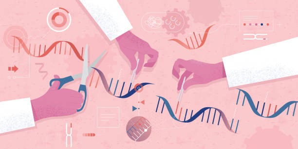 Genetic Modification vector art illustration