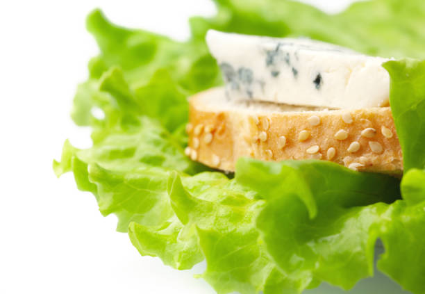 sandwich from bread and blue cheese on leaves of green salad