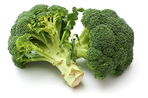 two green broccoli isolated on White Background.