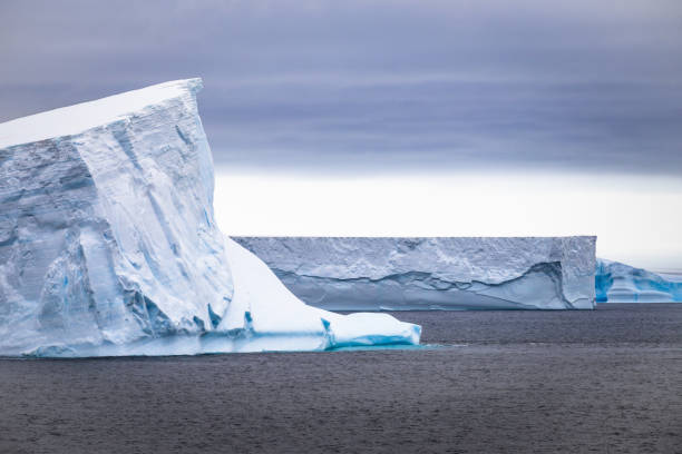 istock Tabletop Icebergs Floating in the Antarctic Sound 1421068962