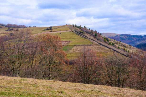 istock countryside landscape in late autumn 1421071220