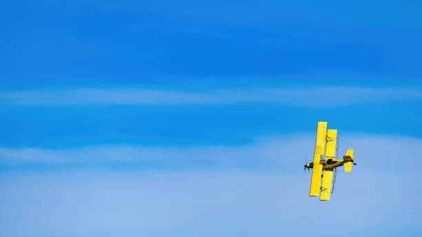 istock Yellow Crop duster in a vase blue sky 1421073273