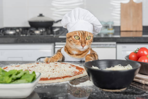 istock A cat dressed as a chef prepares pizza in the kitchen. 1421074051