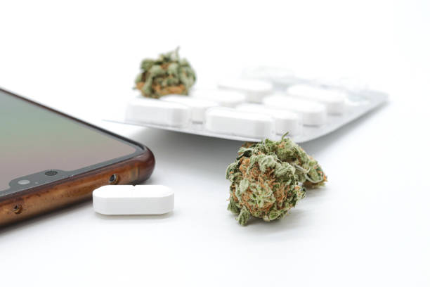 istock marijuana or weed buds in white background 1421074679