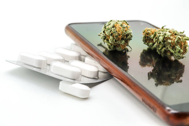 istock marijuana or weed buds in white background 1421074803