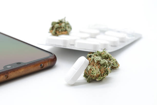 istock marijuana or weed buds in white background 1421075223