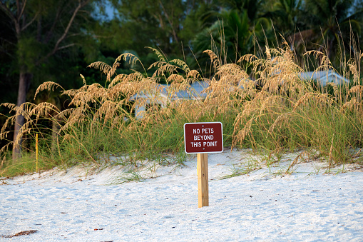 Signboard with warning about no pets beyond this point on seaside beach with small sand dunes and grassy vegetation on warm summer day.