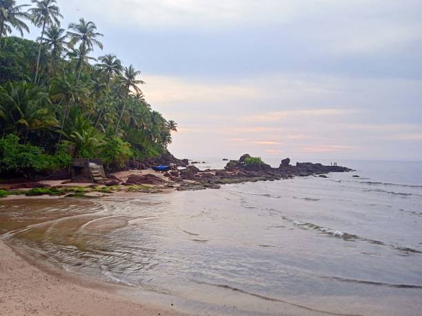 istock sea view, cloudy sky, pam trees, Goa- India 1421077265