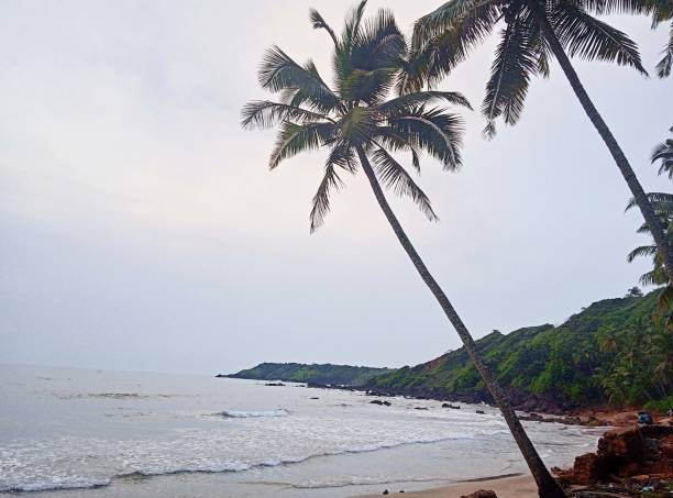 istock sea view, cloudy sky, pam trees, Goa- India 1421077270