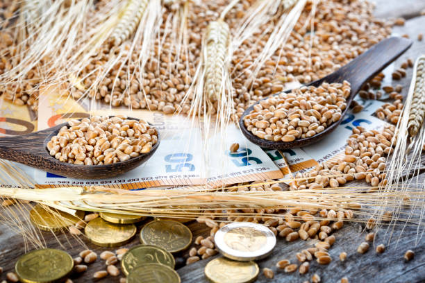 istock Concept of rising costs for wheat 1421079993