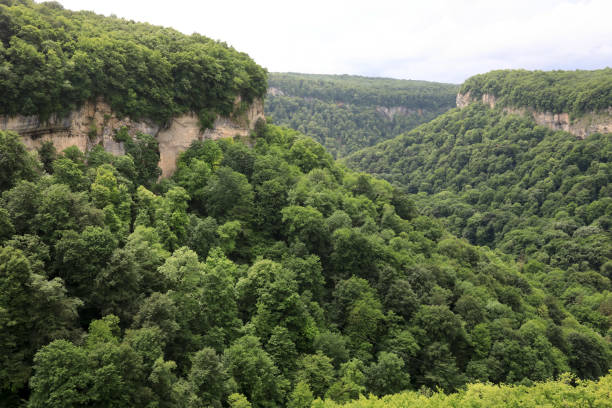 View of Gorge Mishoko in summer in Adygea, Western Caucasus