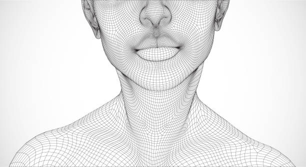 ilustrações de stock, clip art, desenhos animados e ícones de vector portrait of girl. 3d model isolated - people the human body human head human face