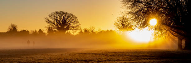 istock Misty sunrise over a playing field 1421081380