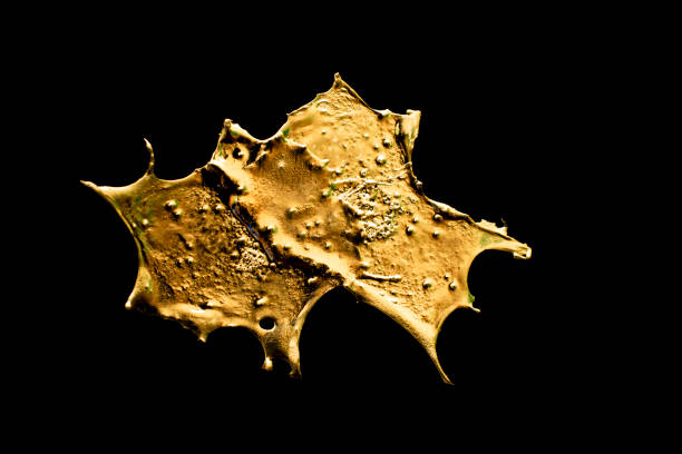 a blob of molten metal