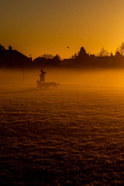 istock Misty sunrise over a playing field 1421081483