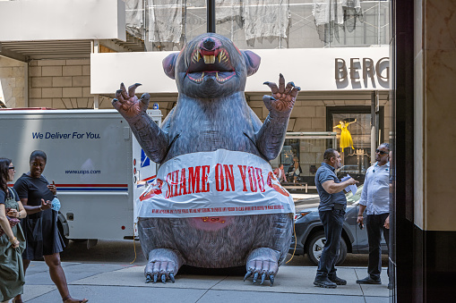 Manhattan, New York, NY, USA - July 12th 2022: A large inflatable rat used to mark a construction site employing not members of the unions