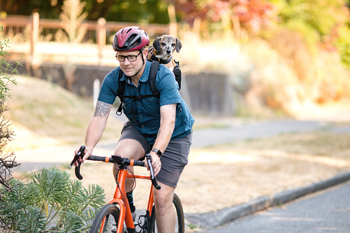A Caucasian middle aged man enjoys cycling, carrying his small beagle mix dog with lower spinal damage in a backpack while on his bicycle.  The dogs physical disability doesn’t detract from her enjoyment of life and fun.